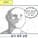 케이크미술관 이미지
