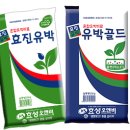 농업회사법인 유한회사 군산영화공장 | 2022년 3월 4일 상승률 TOP30