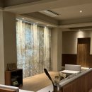 스테이 시래 이미지