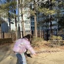 지혜어린이집 | 유치원 어린이집 차이점과 비용 비교