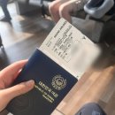 토마스동물병원 | [2025.07] 인천 - 뉴욕 JFK 아시아나 직항 (OZ222) 및 존에프케네디국제공항 입국심사 후기