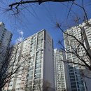 데시앙도서관 | 신도림태영데시앙 아파트 임장 후기(260124)