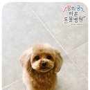 경희궁바른동물병원 이미지