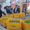 농산물유통 이미지