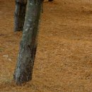 바람길목 이미지