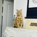 서오메디칼 | [블챌] 스페셜 포토덤프 : 1주차 내가 사랑하는 첫번째