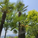 연향3근린공원 이미지