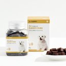 퍼피젤리 이미지