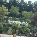 수지근처 가볼 만한 곳 - 용인 자작나무 숲 / 베툴라 베이커리 카페