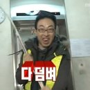 스타견 이미지