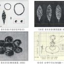 사라진 송산리 29호분, 일인 교사 '도굴’ 88년 만에 발굴하는 이유 이미지