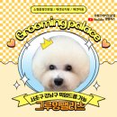 멍팰리스 이미지