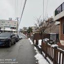 강릉;앨리스 이미지