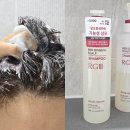 레드진생 | 다이소 레드진생 샴푸 내돈내산 후기, 여름 두피케어 루틴에 써보니? 향은?