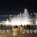 나이스브로