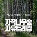 강원도 인제가볼만한곳 여름휴가 레포츠 즐기기 이미지