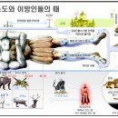 마태복음 강해 13~14편, (마 2:11~23) (마 3:1~2) : (정동수 목사, 사랑침례교회, 킹제임스 흠정역 성경, 세대주의) 이미지