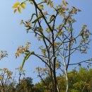 송주농장 이미지