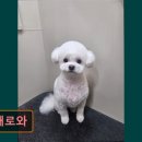 내개로와 이미지