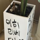 베커린 성수점