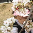 효성 진달래 동산에서 아이와 하루를 이미지