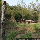 거북이민박 이미지