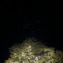 대구 글램핑장 추천🏕️ | 하늘아래 수성 별사랑 캠프