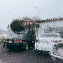 오색진두부 이미지