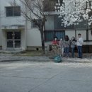 봉명