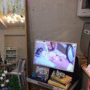 드로잉독 | 망원 ‘마롱공방’ | 이색체험 하기 좋은 공방 추천 머그컵 드로잉 클래스 후기