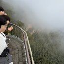 (주)킹스랜드 네이버블로그