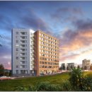 일성트루엘 이미지