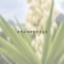 생생한마케팅