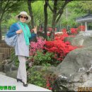 가야황토펜션 이미지