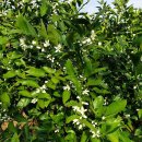 준이농장 이미지