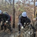 내일 낮 광주 26도, 대전·대구 25도…대부분 지역 20도 이상 이미지