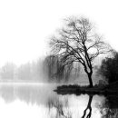 서영이 할머니네 이미지