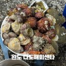 다도해회센타
