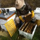 풍촌농장 이미지