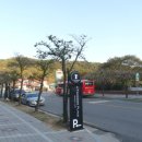 투썸플레이스팔공산점