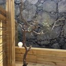 제주보물섬공인중개사사무소 이미지