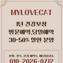마이러브캣
