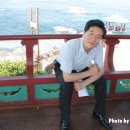 돌고래시장상인회 - 7817 | 돌고래시장상인회