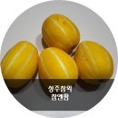 참앤 이미지