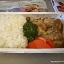 하비스 | [Osaka]김포-오사카 OZ1145 Ι 간사이공항-우메다 리무진 왕복 탑승 후기(하비스오사카 하차)