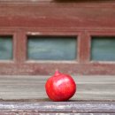 석류모텔 이미지