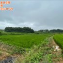 교로1리마을회관 이미지