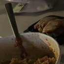 셀모 | 5월 돌아보기
