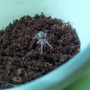 성철 농장 이미지