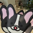 101애견유치원 | 일산 애견카페 안녕아가 아이랑 방문후기, 임장료 및 주차, 데이트코스 추천